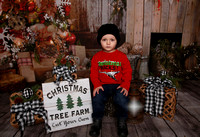 Liam {Christmas Mini}