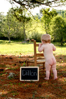 Dillon(8 months)